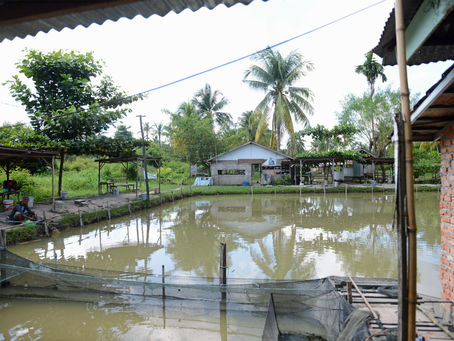 Fourth Day, Local Fishing and New Normal Socialization