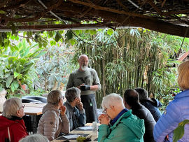 hemp-steam_aargau-tourism_hemp-menu-lunch-hemptofu_hempstube_harmonius-shop8.jpeg