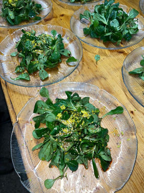 hemp-steam_aargau-tourism_hemp-menu-lunch-hemptofu_hempstube_harmonius-shop2-2.jpe