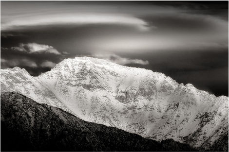 Elevation - Number 01