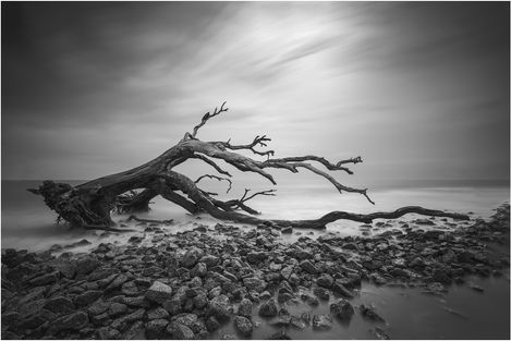 Testament - Number 12