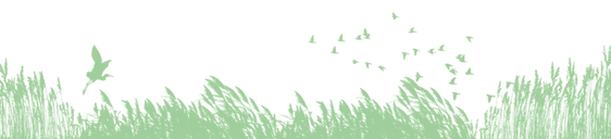 image_edited_edited.png