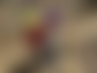 あっという間の1年間