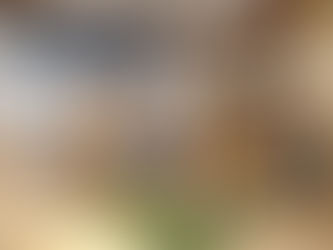 ドキドキ♡わくわく