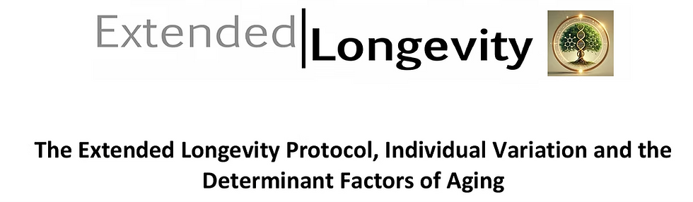 Screenshot 2025-11-21 at 3.17.40 PM.png