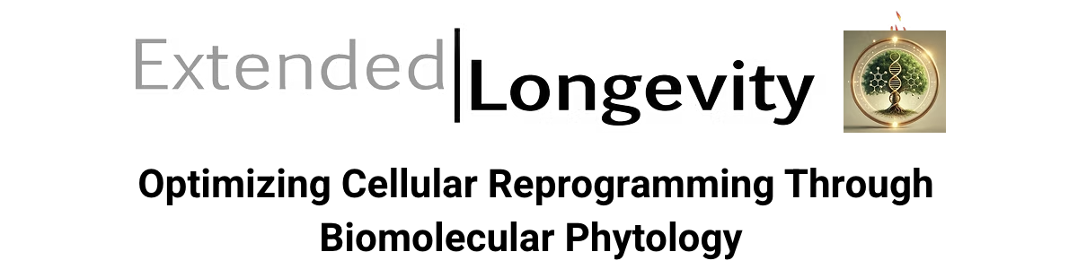 Screenshot 2025-11-21 at 3.18.21 PM.png