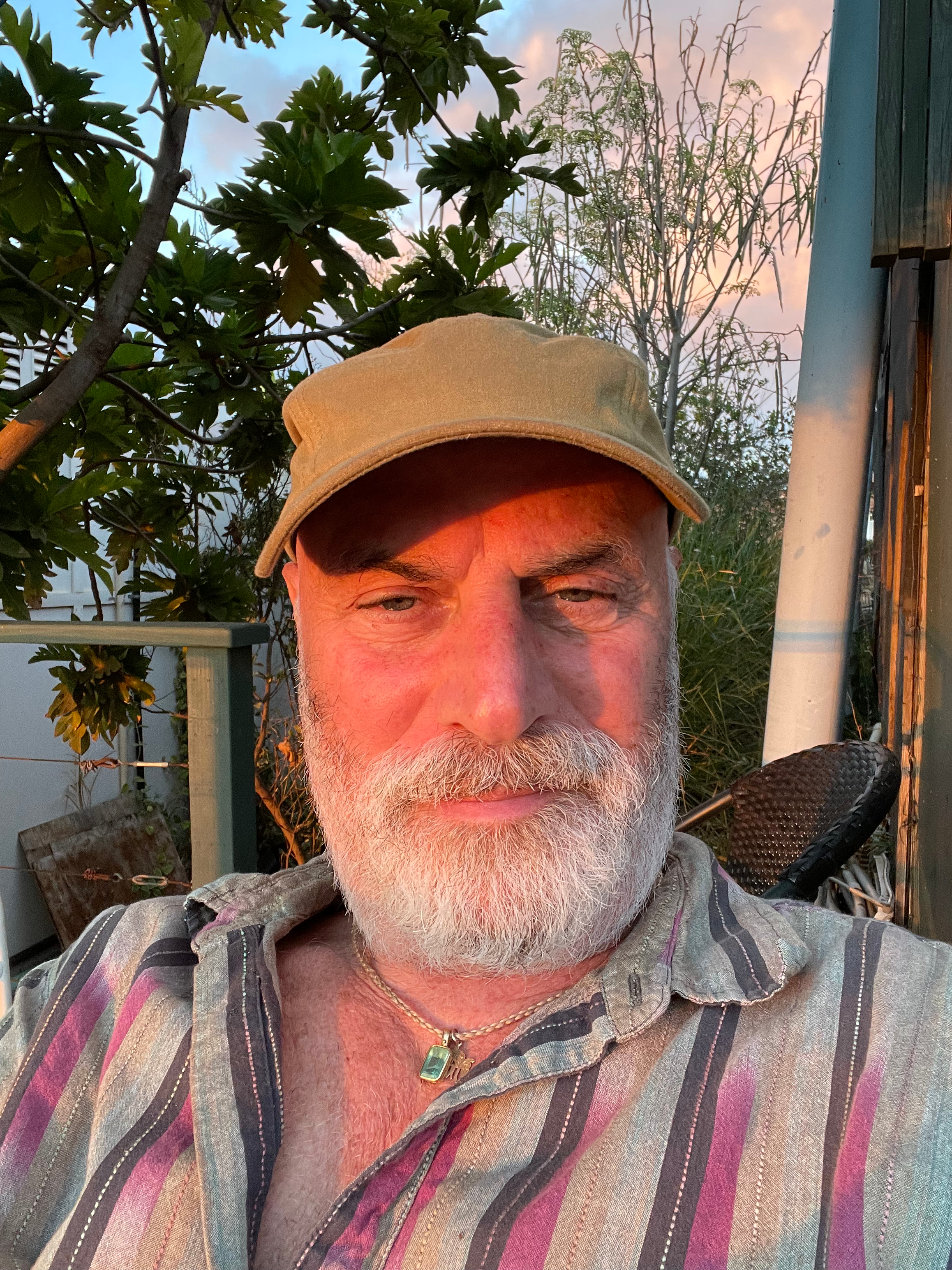 Writer: Steven Schorr