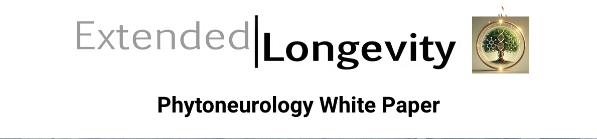 Screenshot 2025-11-21 at 3.18.12 PM.png