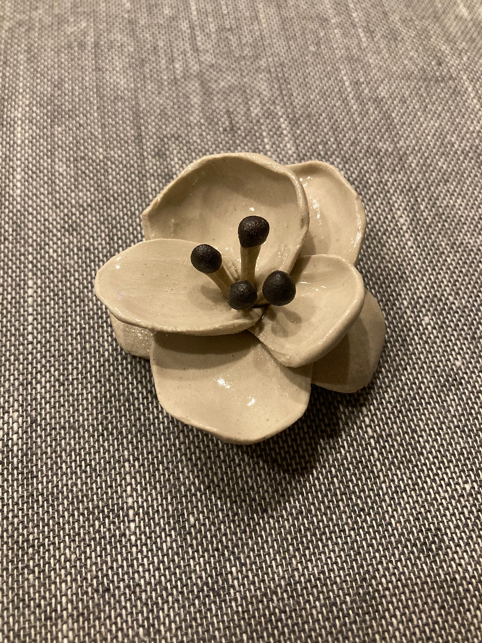 Miniatura: Serie FIORI