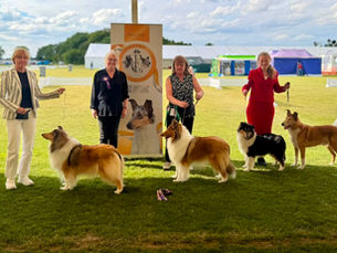 BIS Photo line up