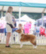 Kelly and Rodney first shows