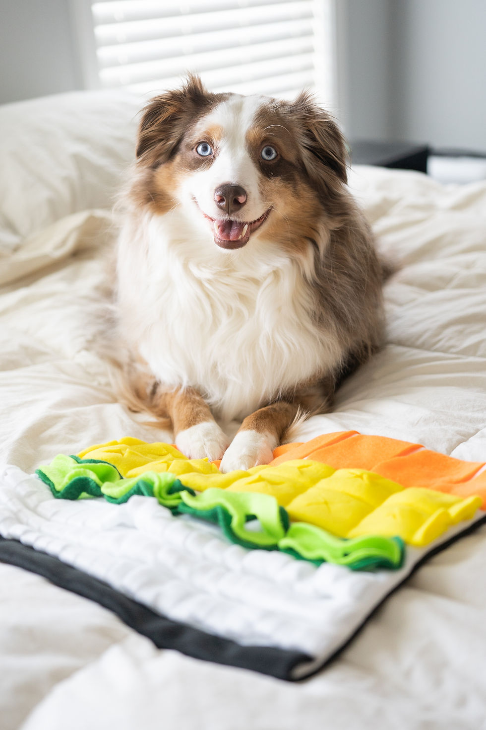 Thumbnail: Handmade Sushi Fleece Snuffle/Forage Mat