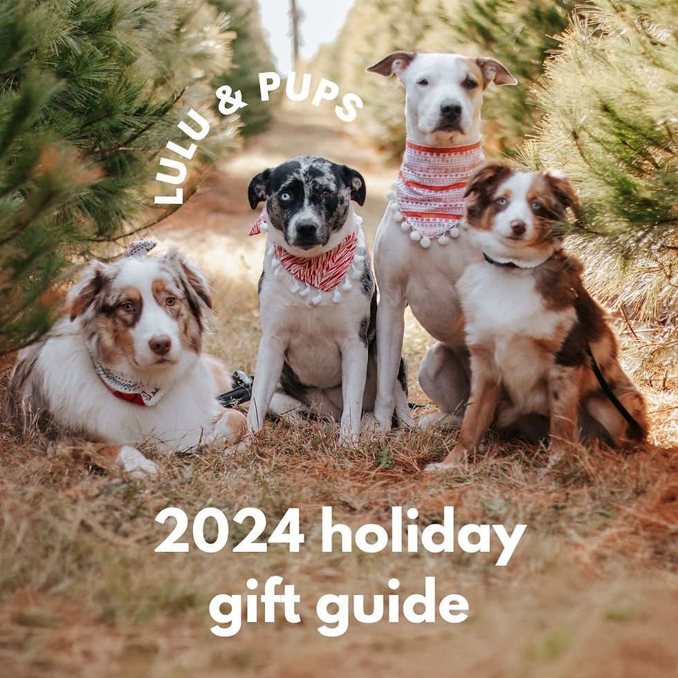 Holiday Gift Guide for Dogs