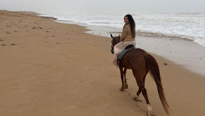 7 Best Day Trips from Marrakesh: Beyond the Red City