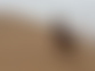 7 Best Day Trips from Marrakesh: Beyond the Red City