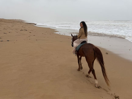 7 Best Day Trips from Marrakesh: Beyond the Red City