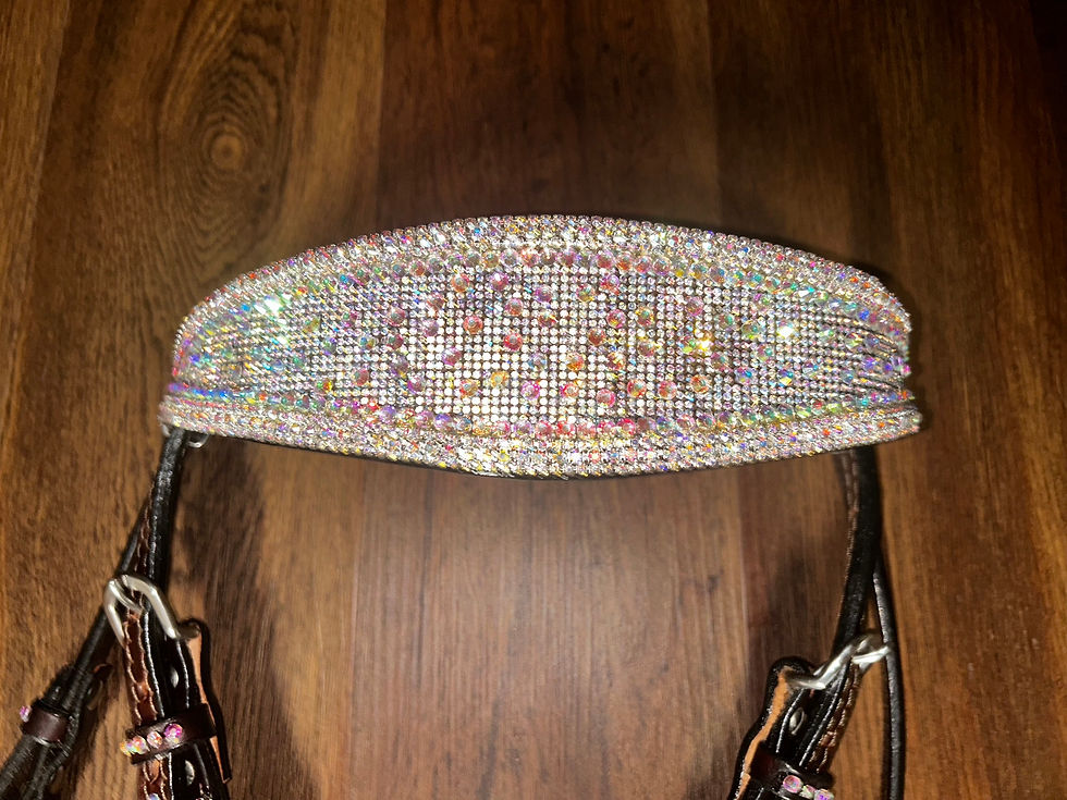 Thumbnail: AB Iridescent Bling Browband Headstall
