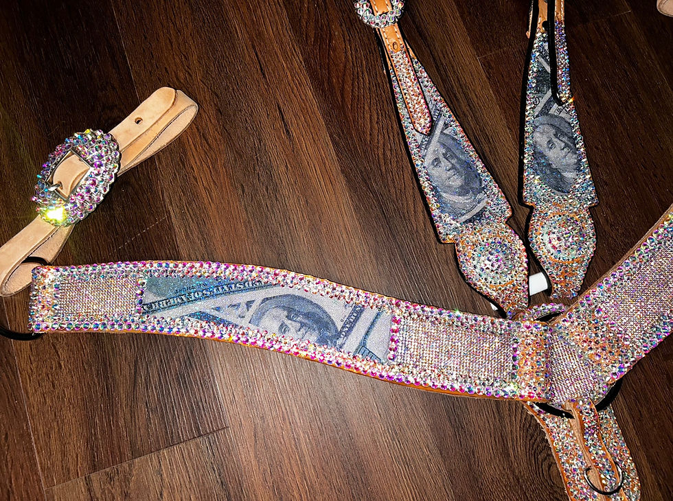 Thumbnail: Bling Money Matching Tack Set