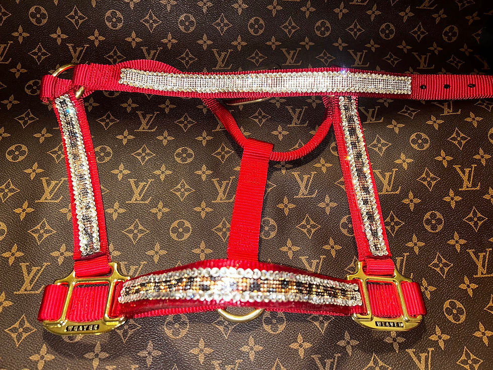 Thumbnail: Customize Your Own Boujee Bling Halter