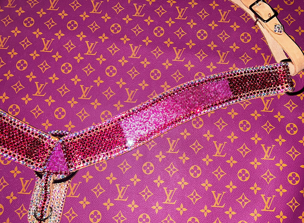 Thumbnail: Fuchsia Pink and AB Rhinestone Breast Collar