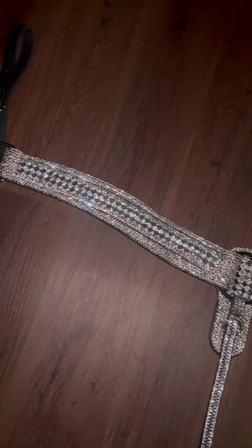 Thumbnail: Bold Silver Rhinestone Breastcollar