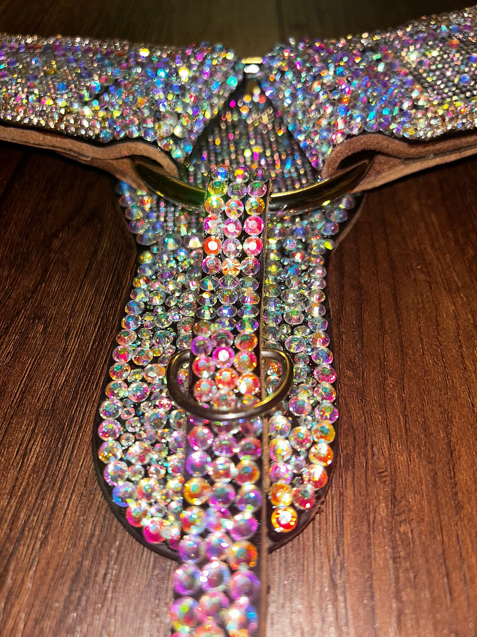 Thumbnail: AB Iridescent All Bling Breastcollar