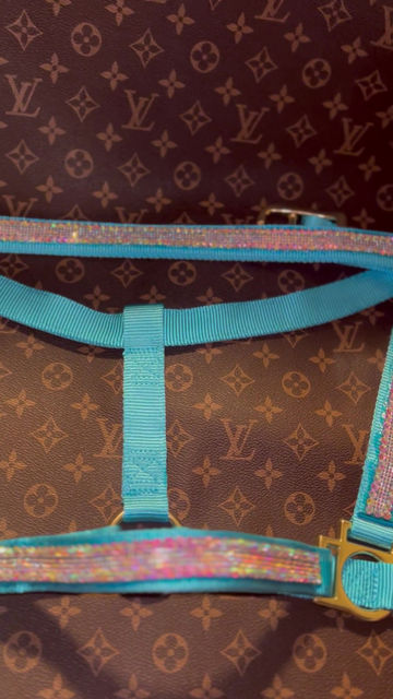 Thumbnail: Turquoise Halter with AB Bling