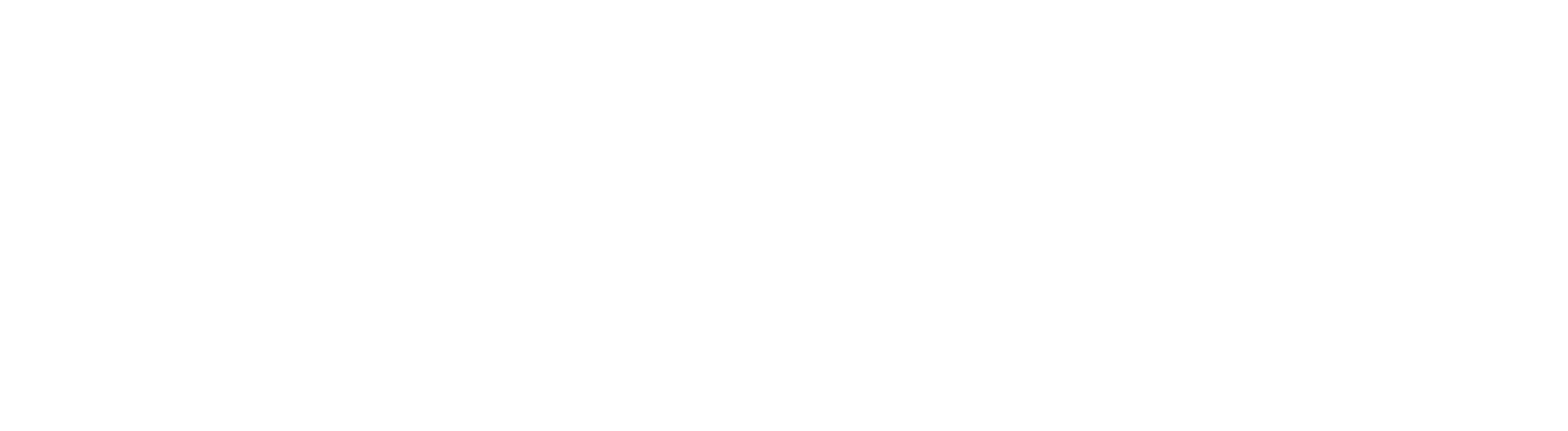 Supaloo Logo White.png