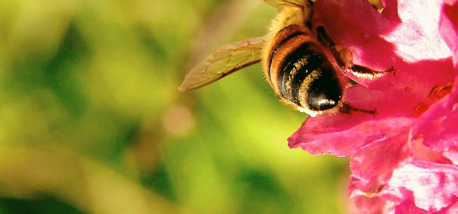 DSC02940_edited.jpg