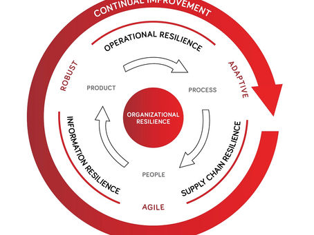 Organizational Resilience