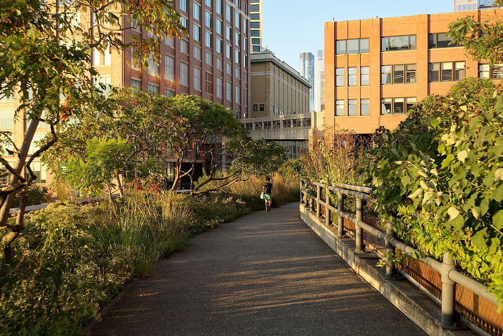 High Line, New York City | Author: Jakub Hałun | Creative Commons Attribution 4.0