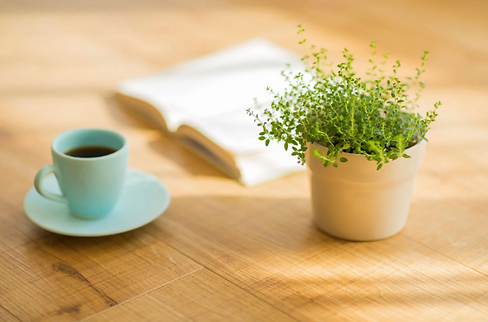 Screen Shot 2022-12-09 at 10.30.01 AM.png