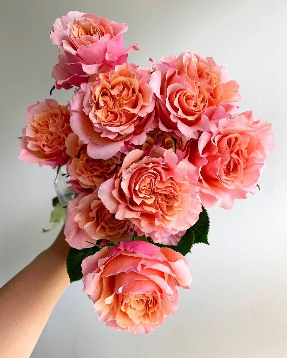 Miniature : Roses