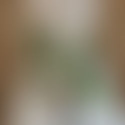 Winter & local wedding