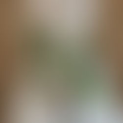 Winter & local wedding