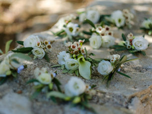 Du gypsophile, mais pas que !