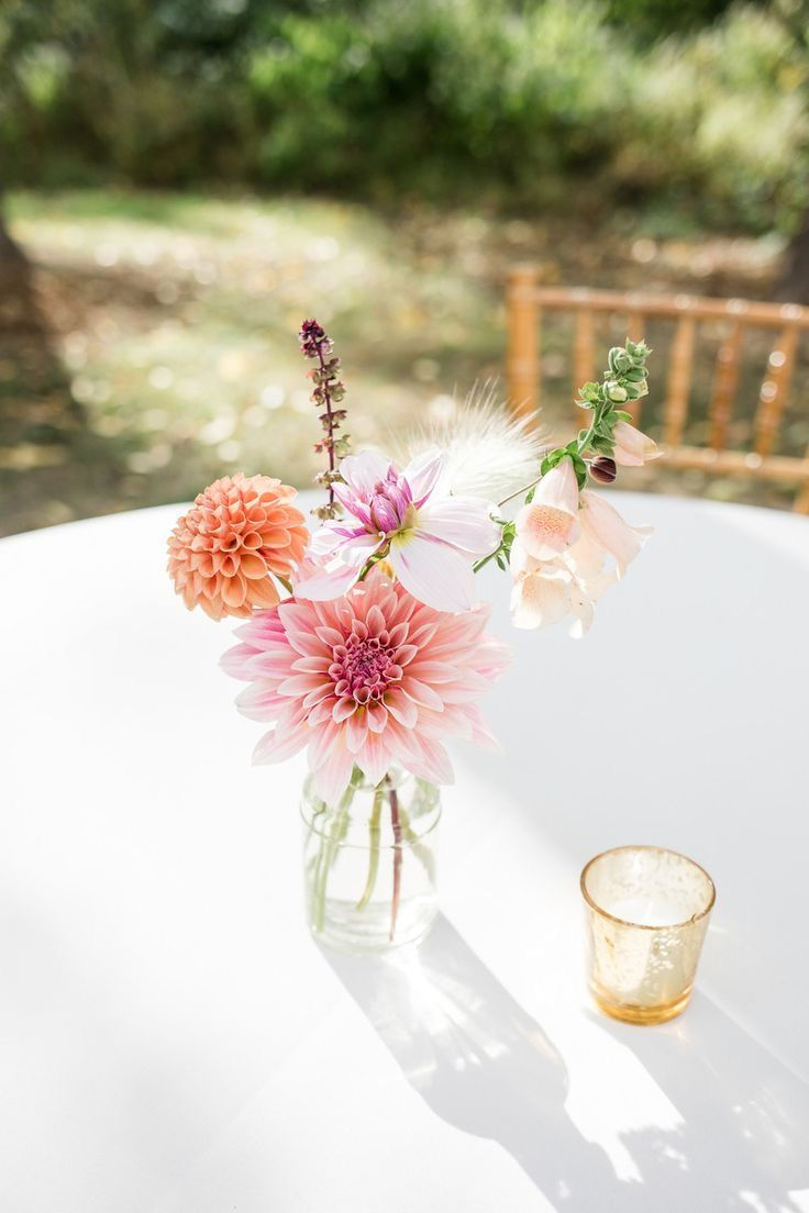 Miniature : Dahlia