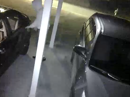 MPD Seeks Information