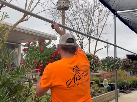 Local Business Prepare for Storm