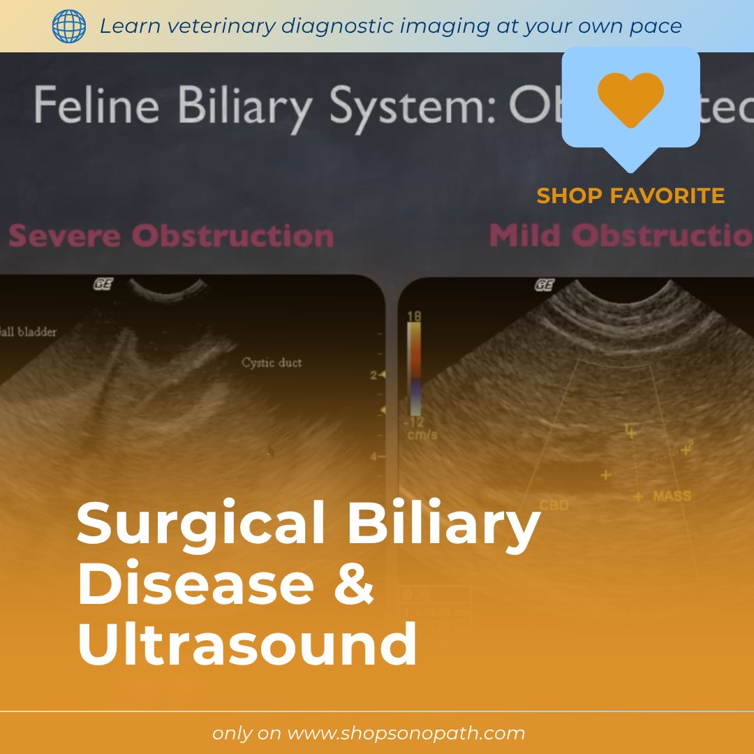 Surgical Biliary Disease and Ultrasound