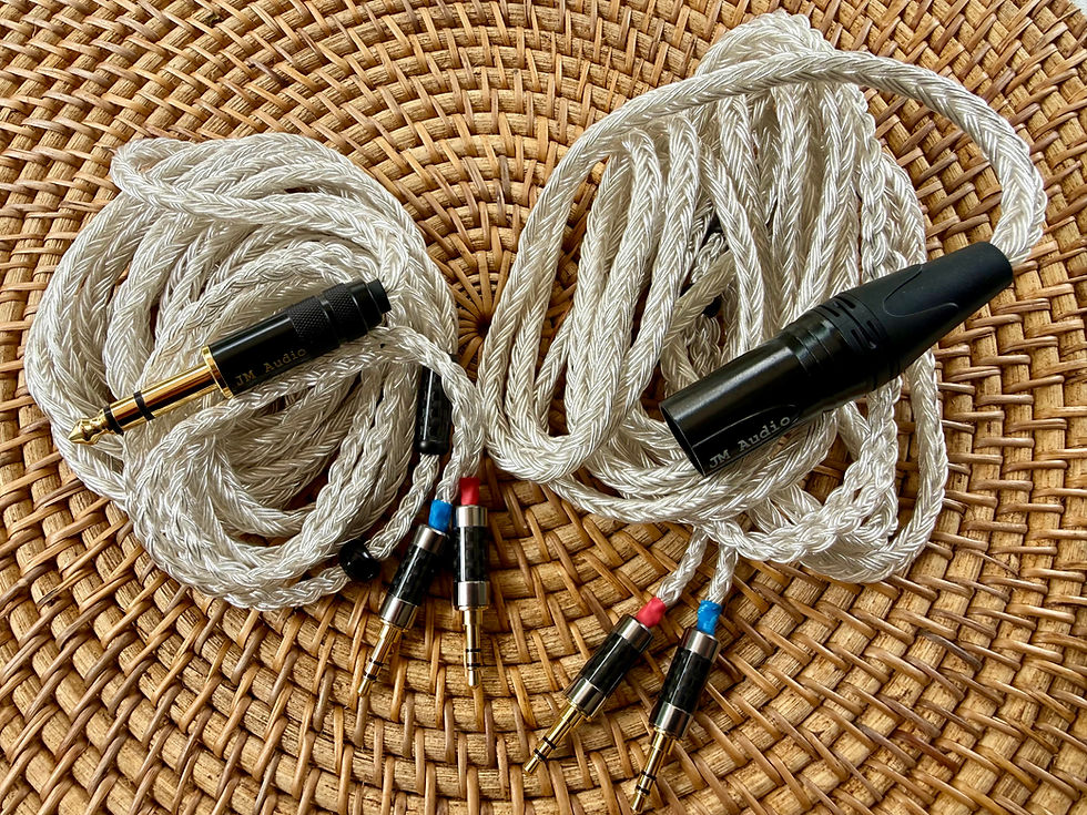 Thumbnail: 10ft XLR or 6.35 Silverhead Premium  