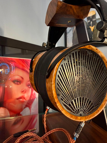 JM Audio XTC2™ Burl and Zebra Megaverse Reference Open Back | JM