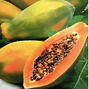 Pawpaw background.png