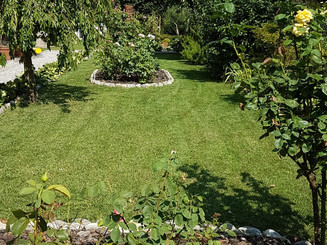 Manutenzione giardino