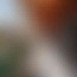 wedding at waunita hot springs wedding venue