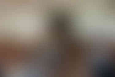 wedding at the almont resort wedding venue