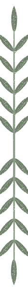 leaf.png