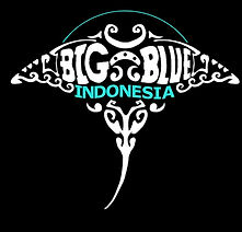 Liveaboard Raja Ampat, liveaboard Cenderawasih Bay