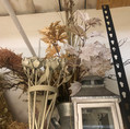 IMG_6985.jpeg