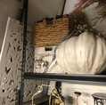 IMG_6984.jpeg